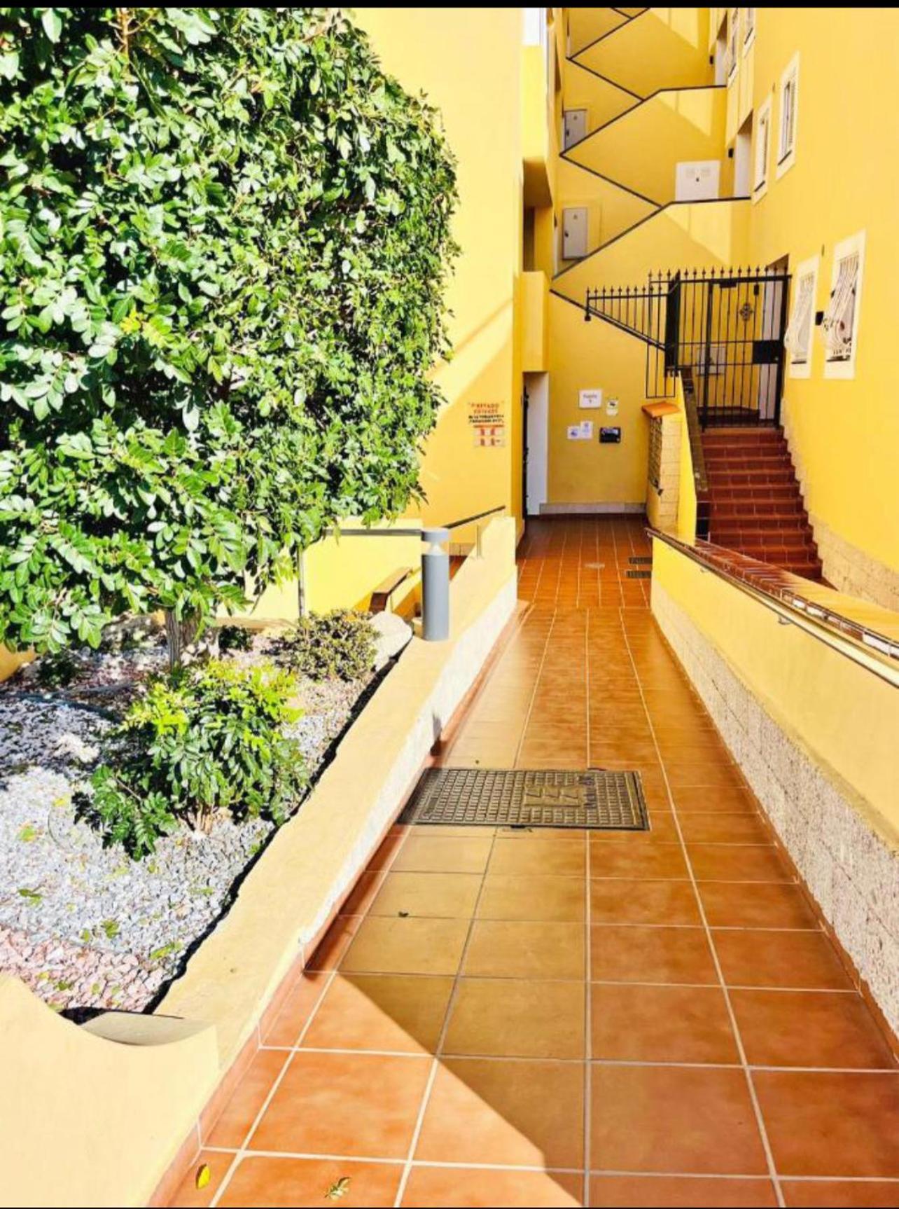 Magnolia Apartment Costa Adeje Dış mekan fotoğraf